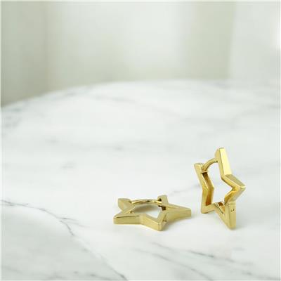 14 Ayar Altın Tasarım Küpe  -  F004843