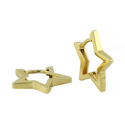 14 Ayar Altın Tasarım Küpe  -  F004843