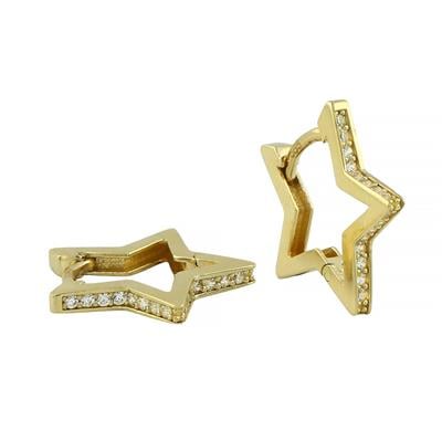 14 Ayar Altın Tasarım Küpe  -  F004850