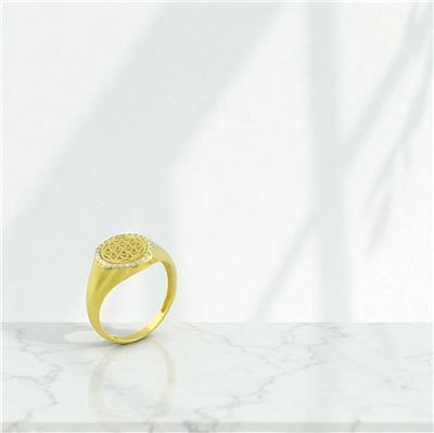 14 Ayar Altın Tasarım Yüzük  -  0197928