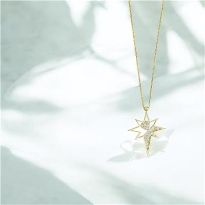 14 Ayar Altın Yıldızlı Kolye  -  0201259