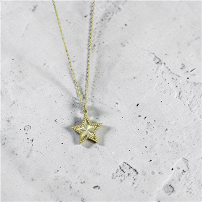 14 Ayar Altın Yıldızlı Kolye  -  0205482