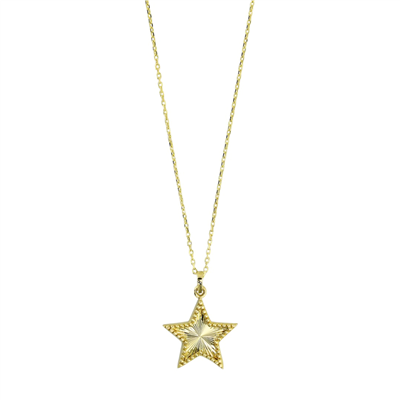 14 Ayar Altın Yıldızlı Kolye  -  0205482