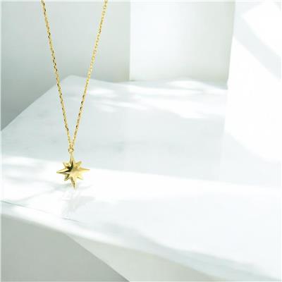 14 Ayar Altın Yıldızlı Kolye  -  0206168