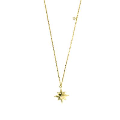 14 Ayar Altın Yıldızlı Kolye  -  0206168