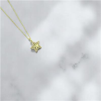 14 Ayar Altın Yıldızlı Kolye  -  F004737