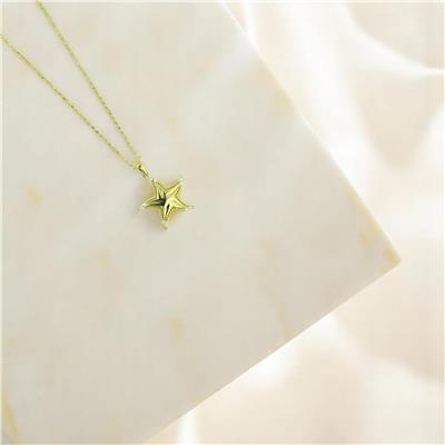 14 Ayar Altın Yıldızlı Kolye  -  F004739