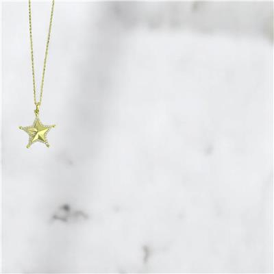 14 Ayar Altın Yıldızlı Kolye  -  F004742