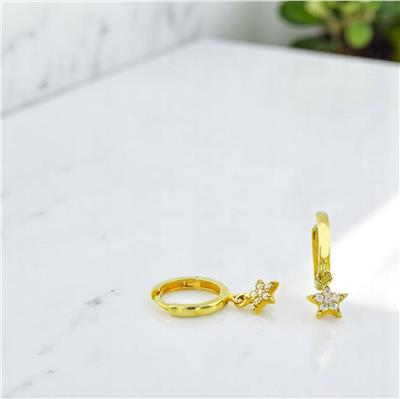 14 Ayar Altın Yıldızlı Küpe  -  0194258