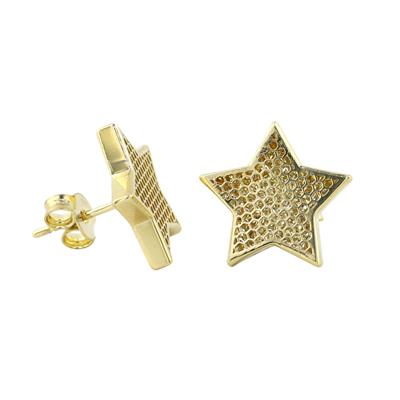 14 Ayar Altın Yıldızlı Küpe  -  0195195