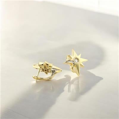 14 Ayar Altın Yıldızlı Küpe  -  F003575