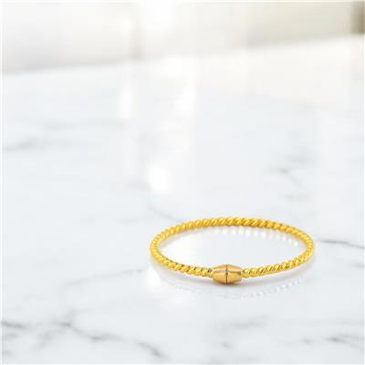 22 Ayar Altın Kilitli Bilezik  -  0204937