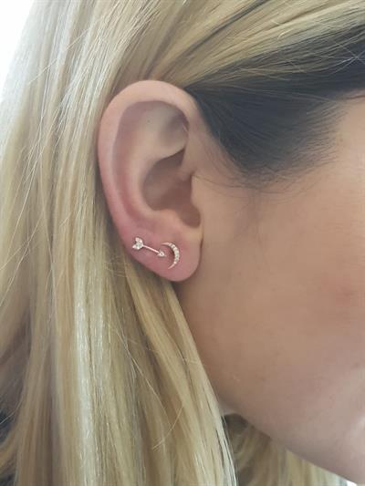 Pembe Altın Büyük Pırlantalı Hilal Küpe