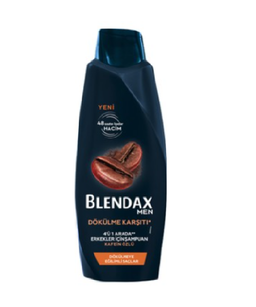 Blendax Men Dökülme Karşıtı Şampuan 500 ml