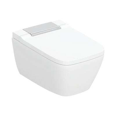 Geberit AquaClean Sela Square Comfort Krom Akıllı Klozet