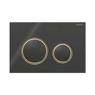 Geberit Kumanda Kapağı Sigma21 - Çift Basmalı -  Siyah Cam / Prinç