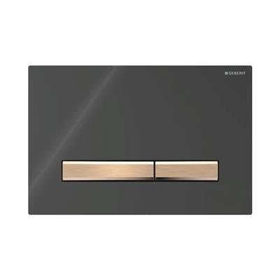 Geberit Kumanda Kapağı Sigma50 - Çift Basmalı - Siyah / Bronz