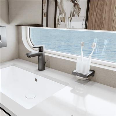 Hansgrohe AddStoris Diş Fırçalığı Mat Siyah