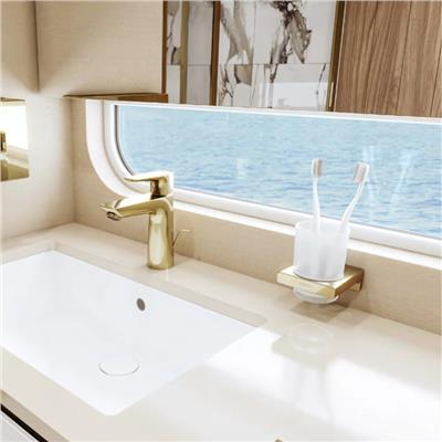 Hansgrohe AddStoris Diş Fırçalığı Parlak Altın Optik