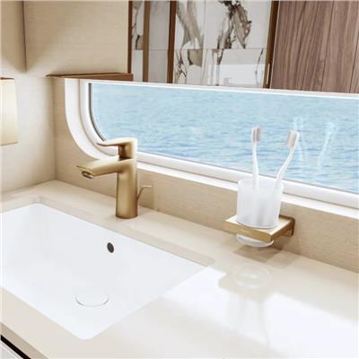 Hansgrohe AddStoris Diş Fırçalığı Mat Bronz