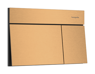 Hansgohe iFrame Element E Kumanda Kapağı Mat Bronz