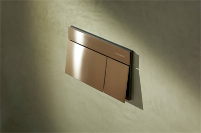 Hansgohe iFrame Element E Kumanda Kapağı Mat Bronz