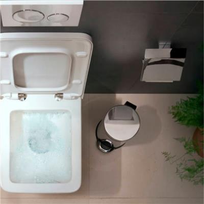 Hansgrohe AddStoris Tuvalet Kağıtlığı Krom