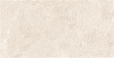 NG Kütahya Seramik 60*120 Swan Soft Mat