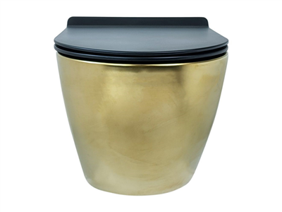 Pure Concept Fiore Mat Gold Kanalsız Asma Klozet Kapak Dahil
