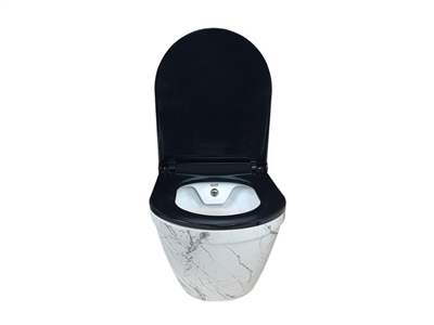 Pure Concept Sharp Calacatta Kanalsız Asma Klozet Kapak Dahil