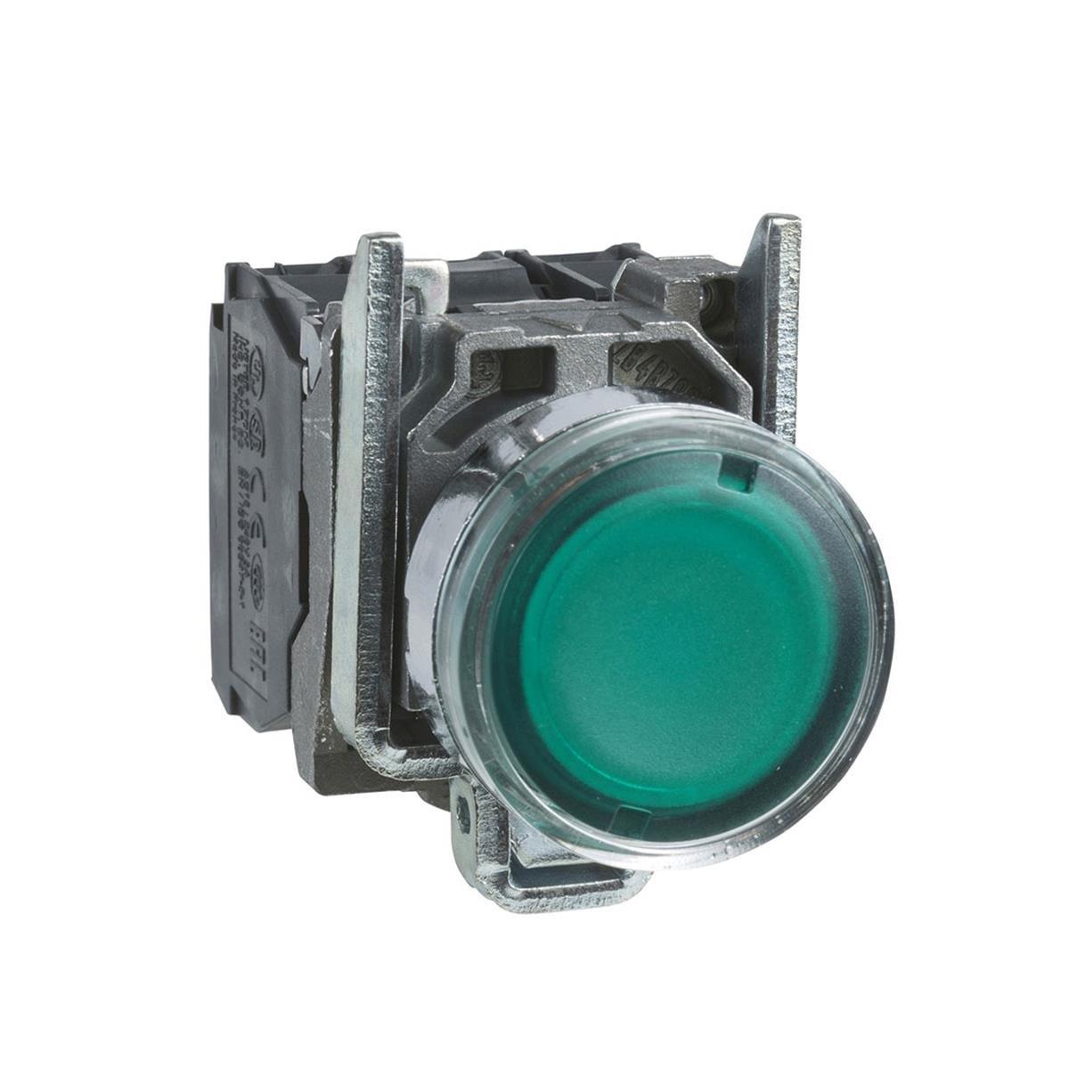ILLUMINATED PUSHBUTTON