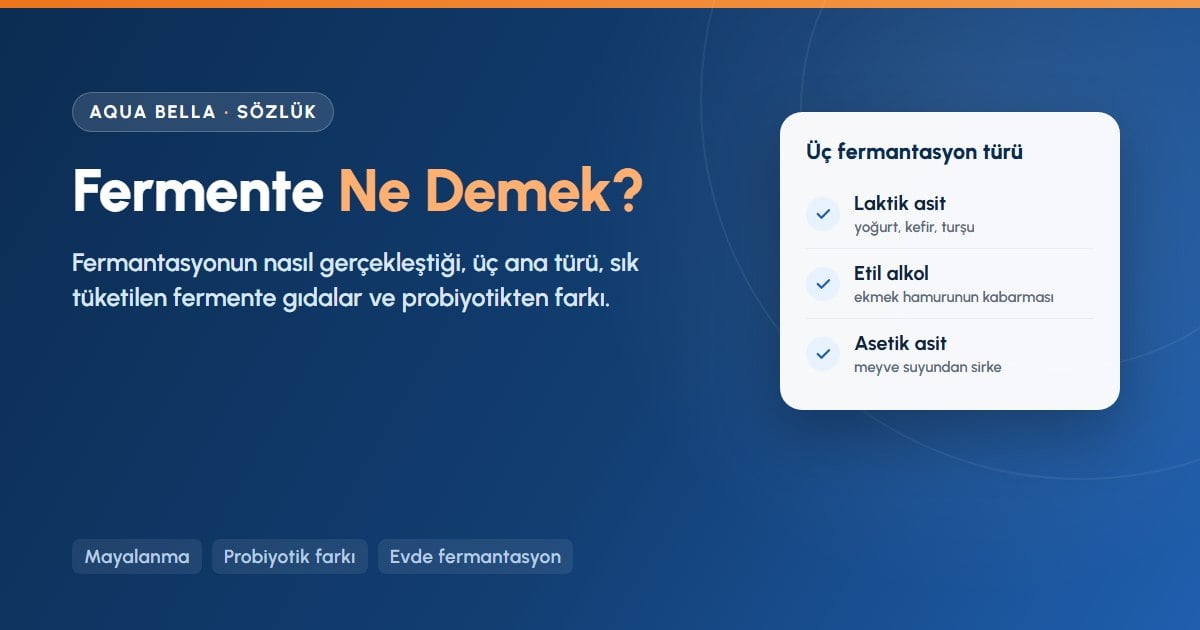 Fermente ne demek: laktik asit, etil alkol ve asetik asit fermantasyonu ile örnek gıdalar