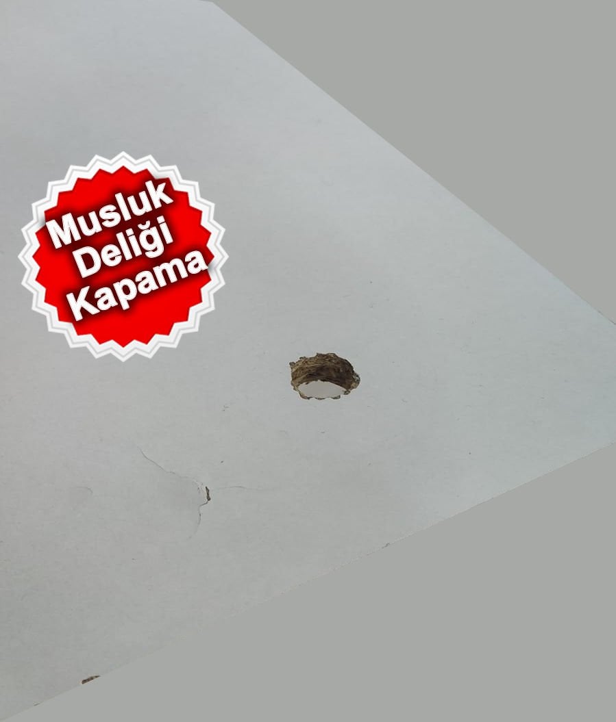 su arıtma musluğu deliği kapatma