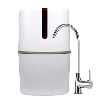 Spring Forte Purefer Su Arıtma Cihazı İthal