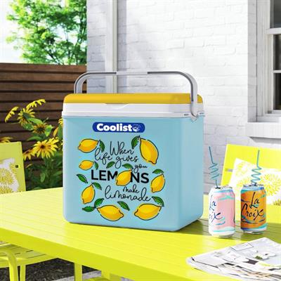 CoolistCoolist CLB30LM 30 Litre Limon Desenli Buzluk + 3 Adet 400gr. Buz KasetiCLB30LM