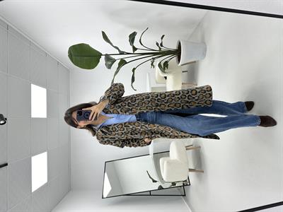 Leopar Desenli Kaban