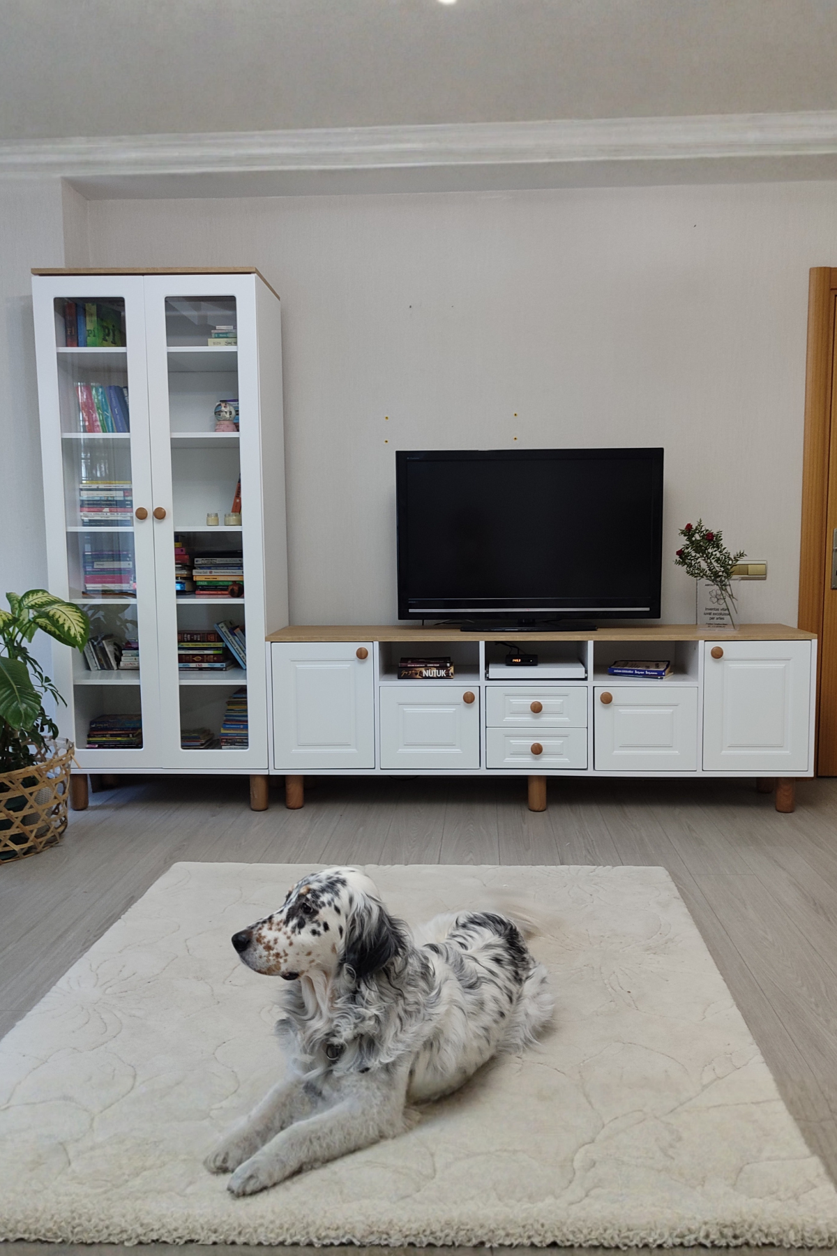 TV Sehpaları & ÜniteleriAvm 24Life TV Ünitesi ve Kitaplık %100 MDF