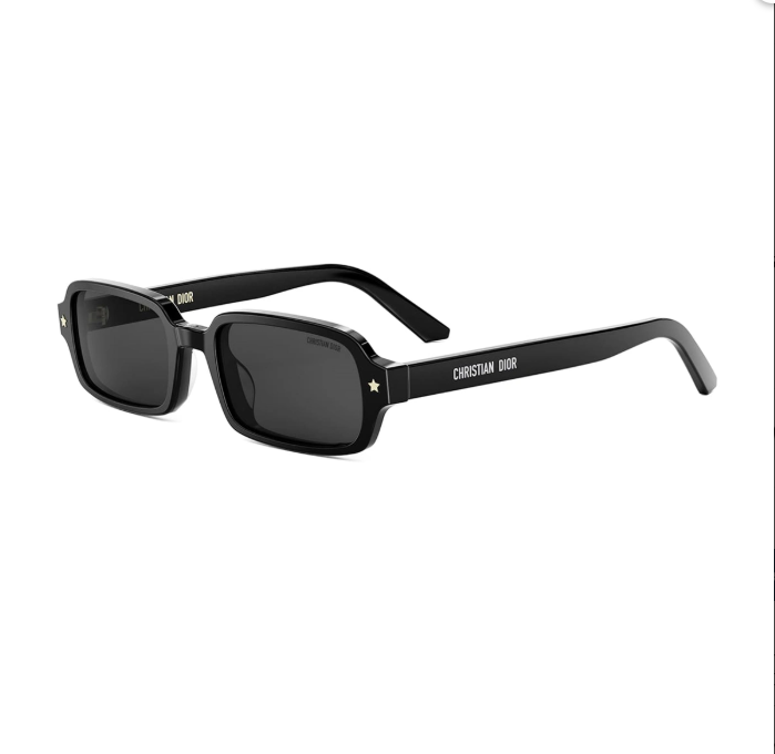 DIOR PASIFIC S3I 10A0 40205I 01A Güneş Gözlüğü