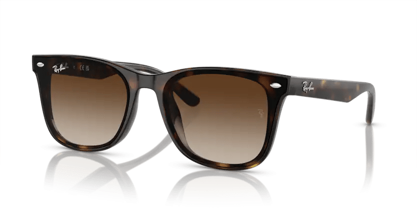 RAYBAN 4420 710/13 65 Güneş Gözlüğü