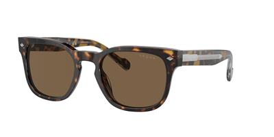 VOGUE 5571S W65673 53 Güneş Gözlüğü