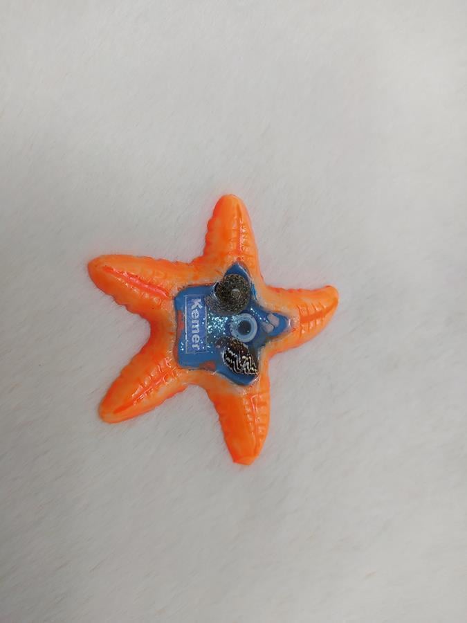 Turuncu Deniz Yıldızı Tasarım Epoksi Mıknatıslı Magnet Kemer Yazılı Buzdolabı Süsü
