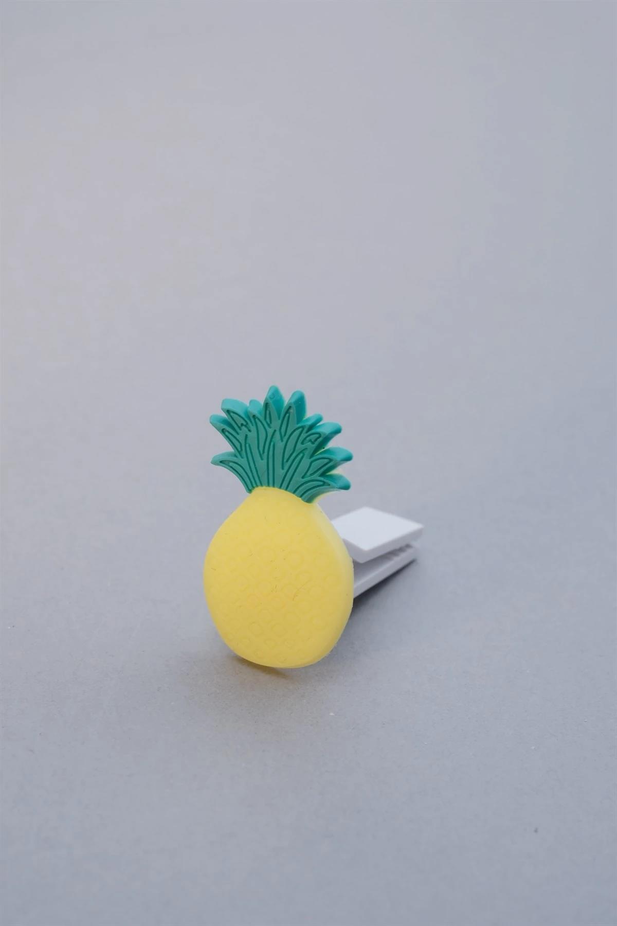 ananas-klima-susu-2-9415.jpg