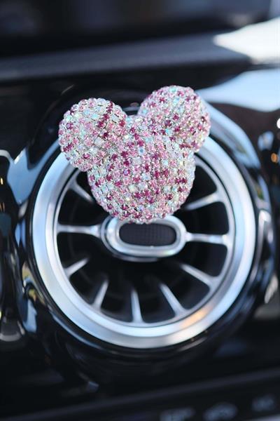 Panda Koku Ebruli Taş & Bagetsiz Oto Klima Petek Koku