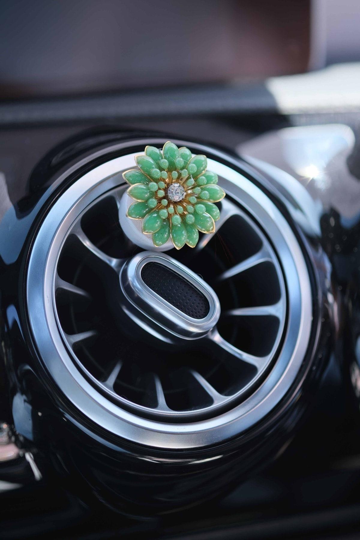 yesil-ince-yaprakli-cicek-klima-koku-n-9eff-8.jpg