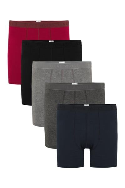 Erkek Renkli 5’Li Uzun Paça Bambu Boxer - 25204