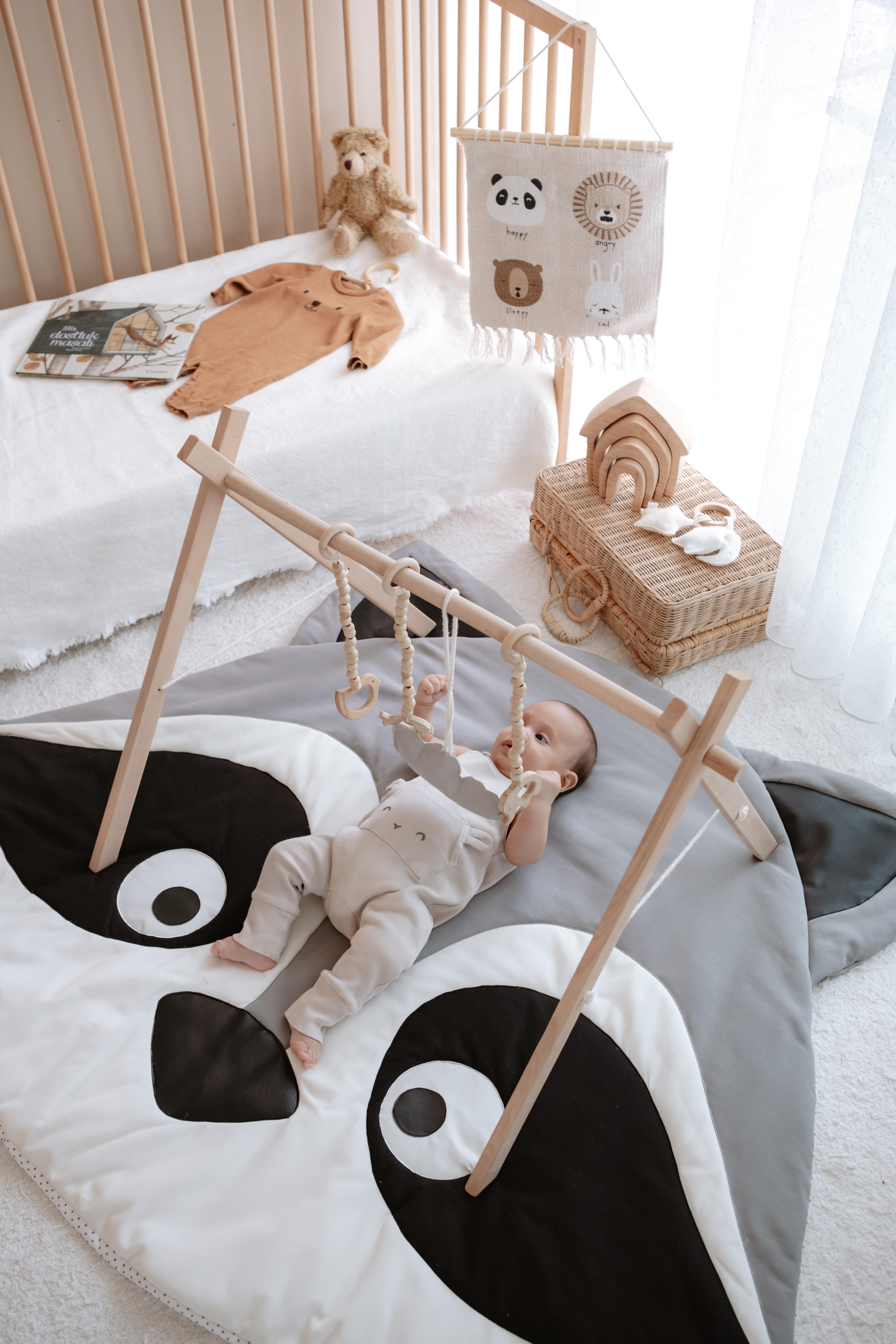 Raccoon Play Mat + GYM
