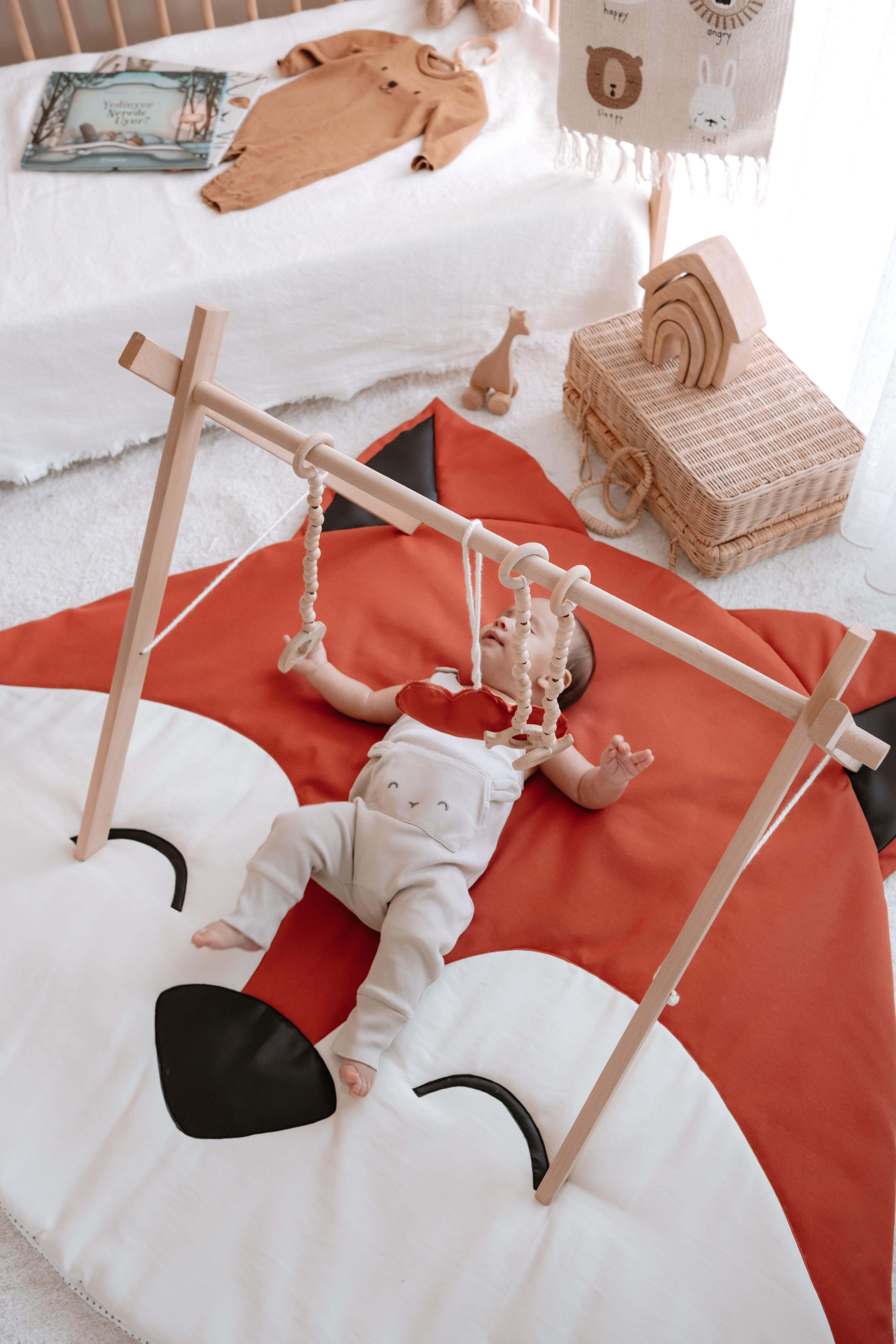 Reynard Play Mat + GYM