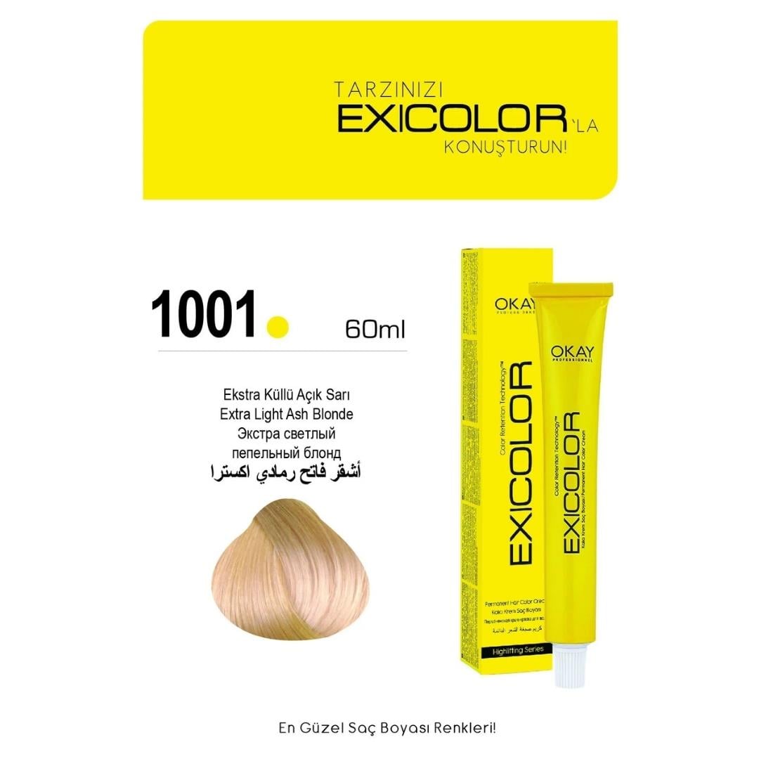Exıcolor Tüp Boya 1001