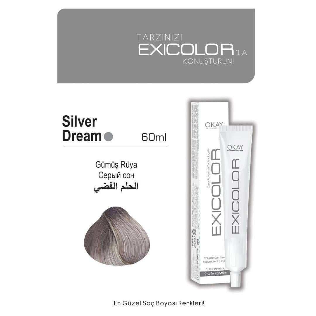 Exıcolor Tüp Boya Sılver Dream (Gümüs Rüya)