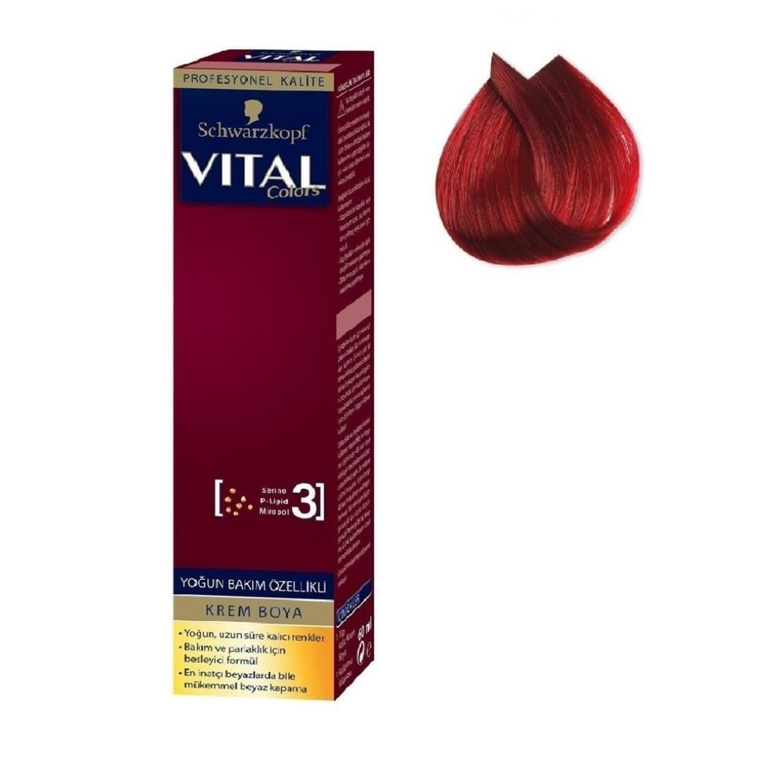 Vıtal Boya 8-88